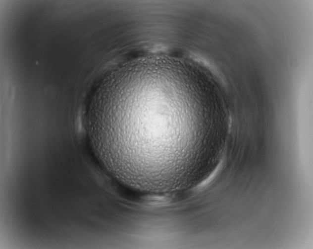 X0000089760170200707201949
