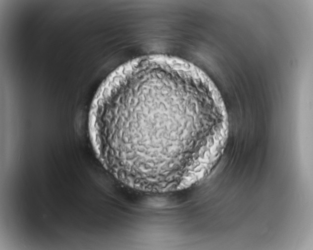 X0000089760171200707201949
