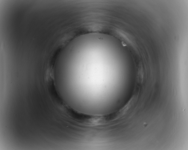 X0000089760172200707201949