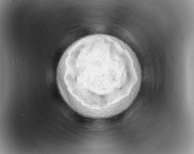 X0000089760173200707201949