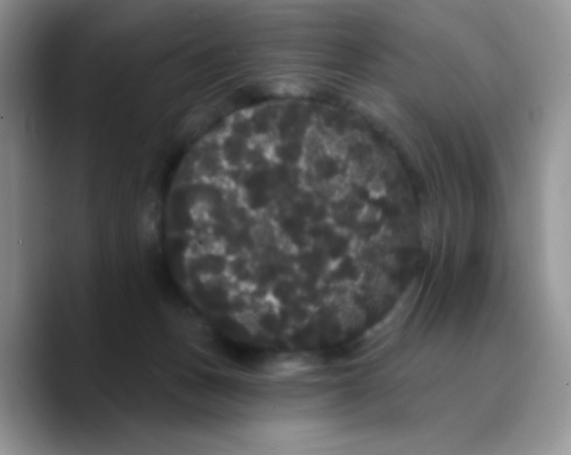 X0000089760175200707201949