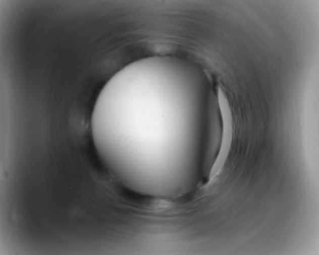X0000089760176200707201949