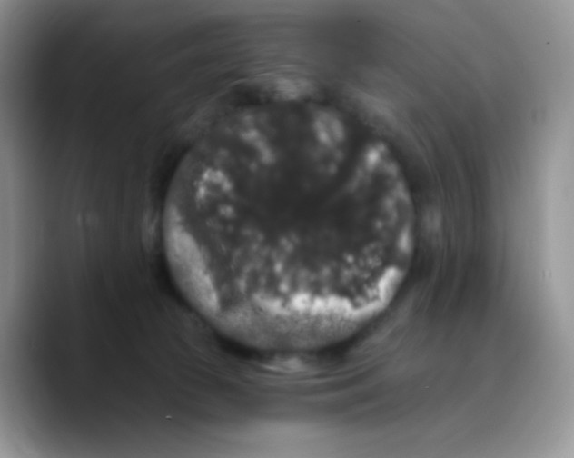 X0000089760177200707201949