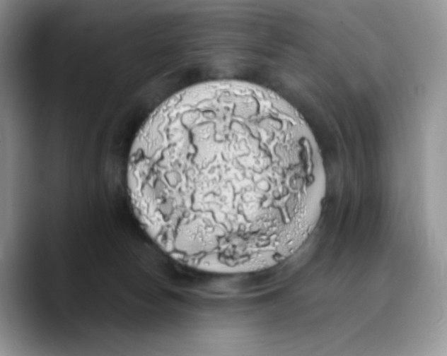 X0000089760178200707201950