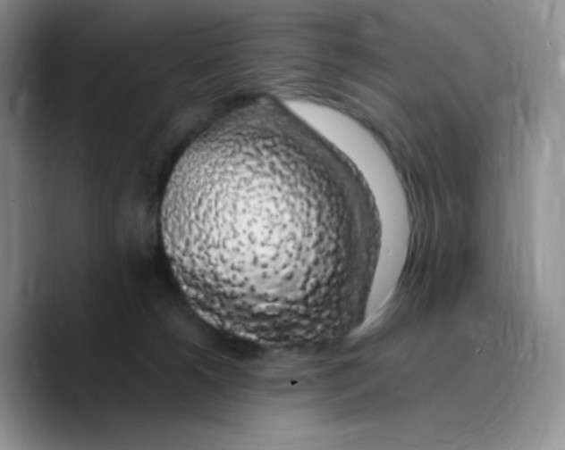 X0000089760180200707201950
