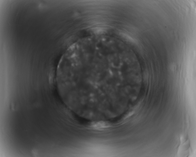 X0000089760181200707201950