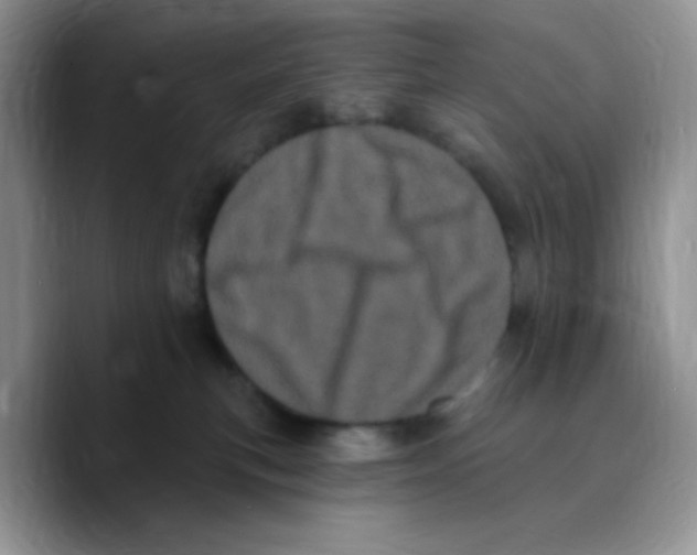 X0000089760183200707201950