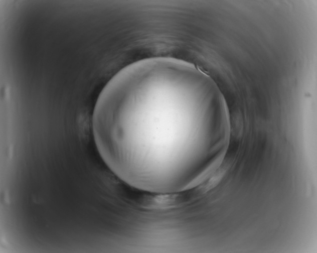 X0000089760184200707201950