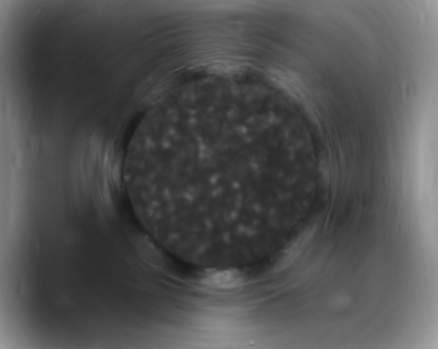 X0000089760185200707201950