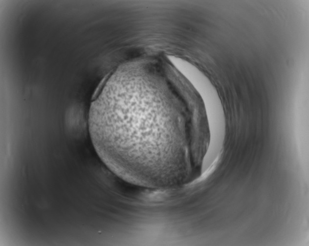 X0000089760186200707201950