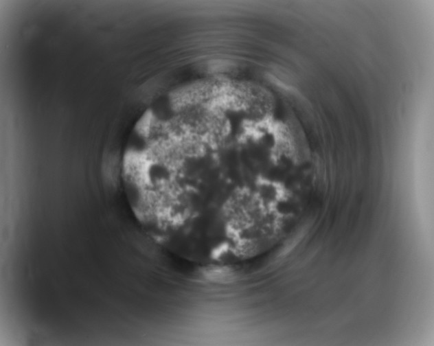 X0000089760189200707201950