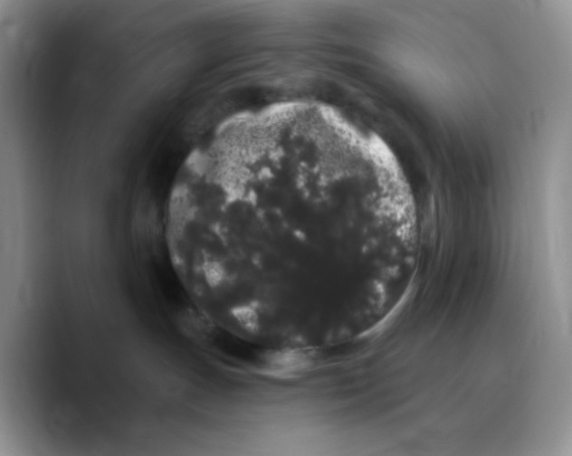 X0000089760191200707201950