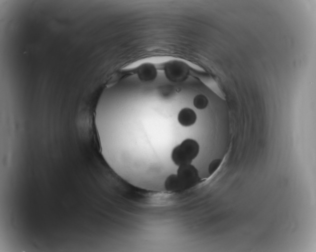 X0000089760192200707201950