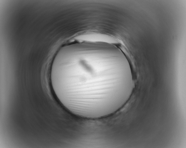 X0000089760193200707201949