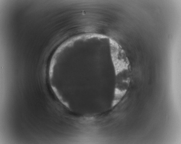 X0000089760194200707201949