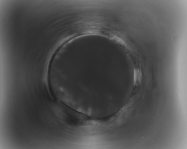 X0000089760195200707201949