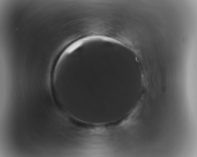 X0000089760196200707201949