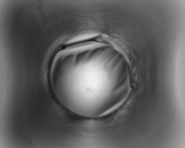 X0000089760197200707201949