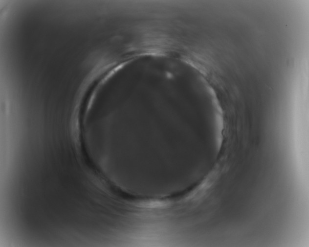 X0000089760198200707201949
