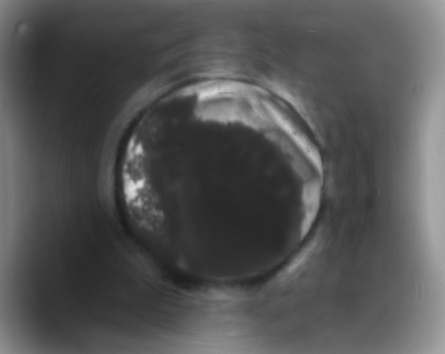 X0000089760199200707201949