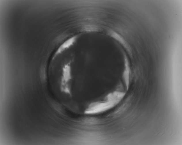 X0000089760203200707201949