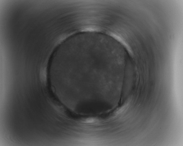 X0000089760204200707201949