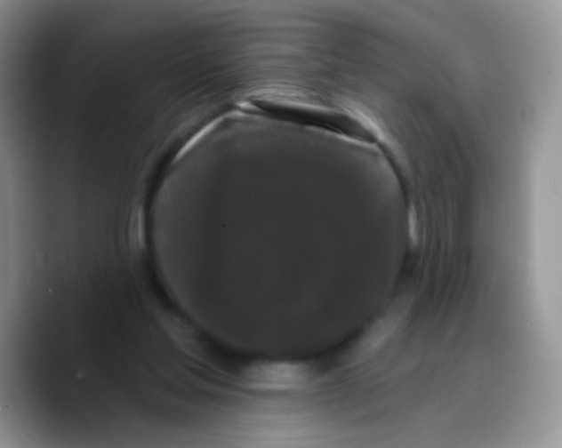 X0000089760205200707201949