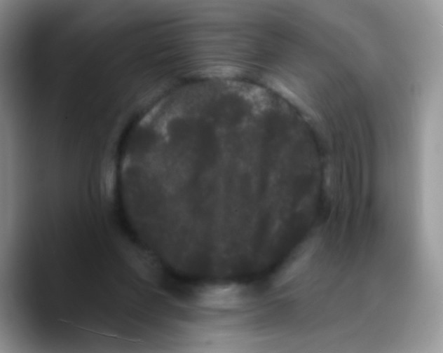 X0000089760206200707201949