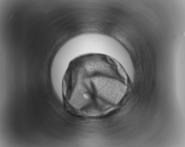 X0000089760207200707201949
