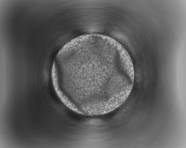 X0000089760210200707201949