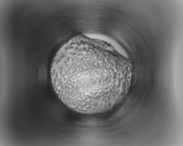 X0000089760211200707201949