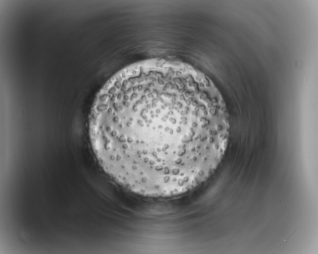 X0000089760215200707201949