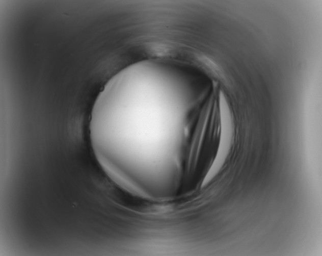 X0000089760217200707201949