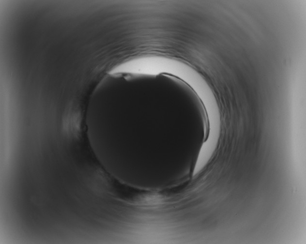 X0000089760219200707201949