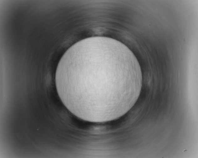 X0000089760220200707201949