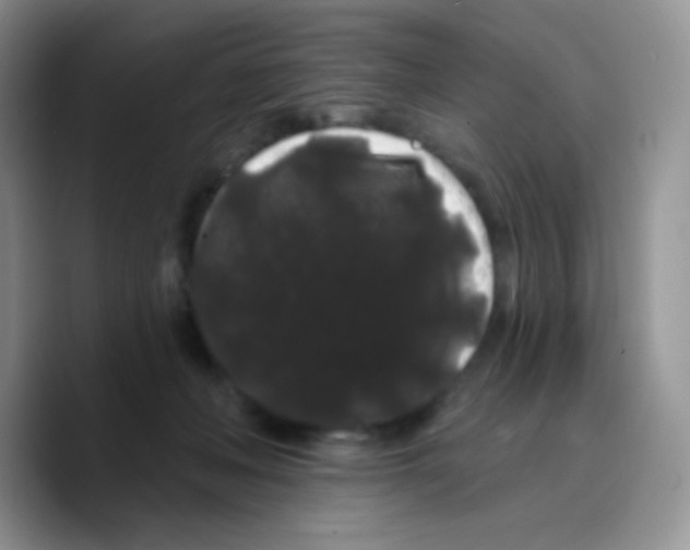 X0000089760222200707201949
