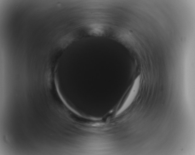 X0000089760223200707201949
