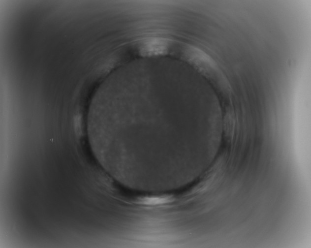 X0000089760224200707201949