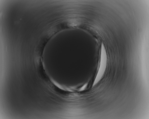 X0000089760227200707201949