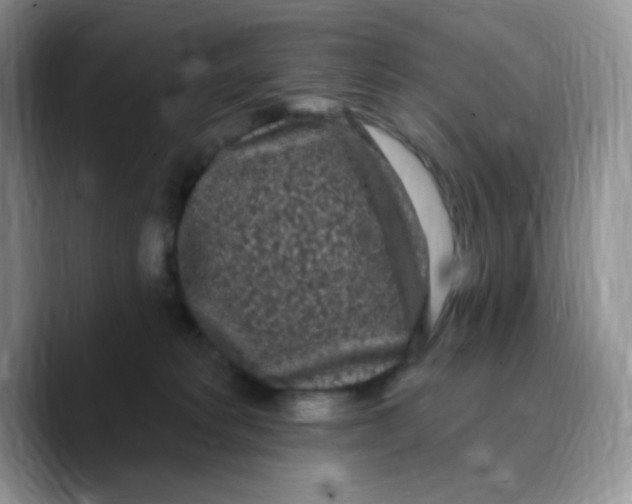 X0000089760229200707201949