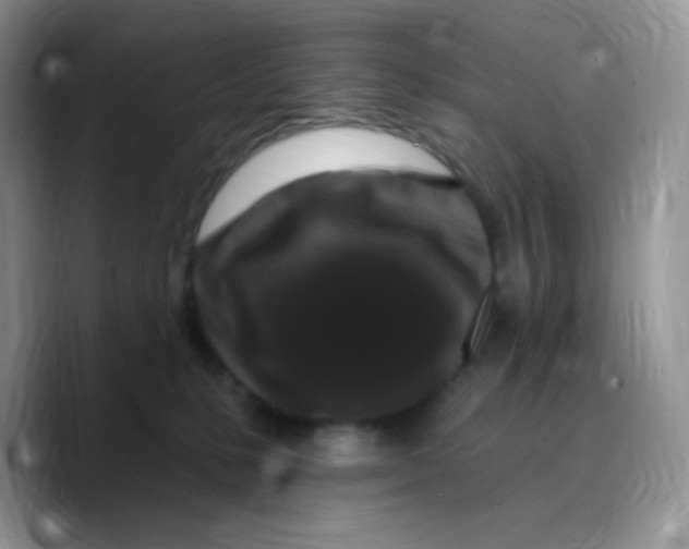 X0000089760231200707201949