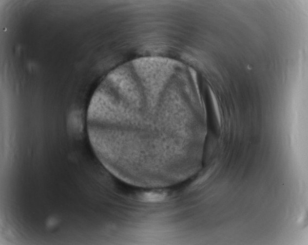 X0000089760232200707201949