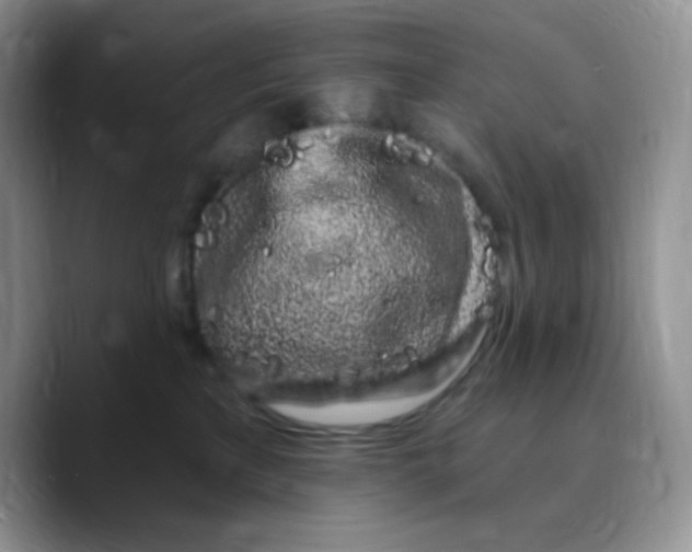 X0000089760233200707201949