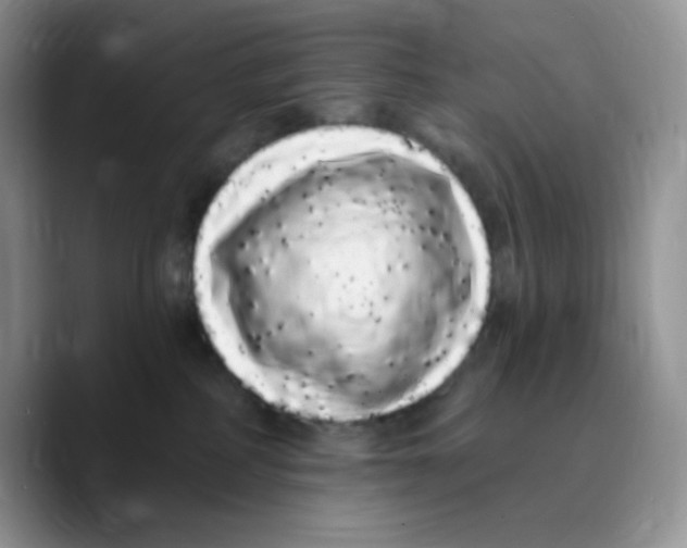 X0000089760234200707201949