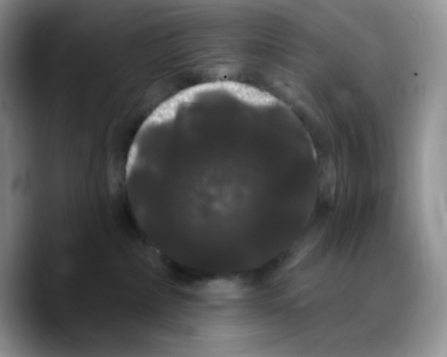 X0000089760236200707201949