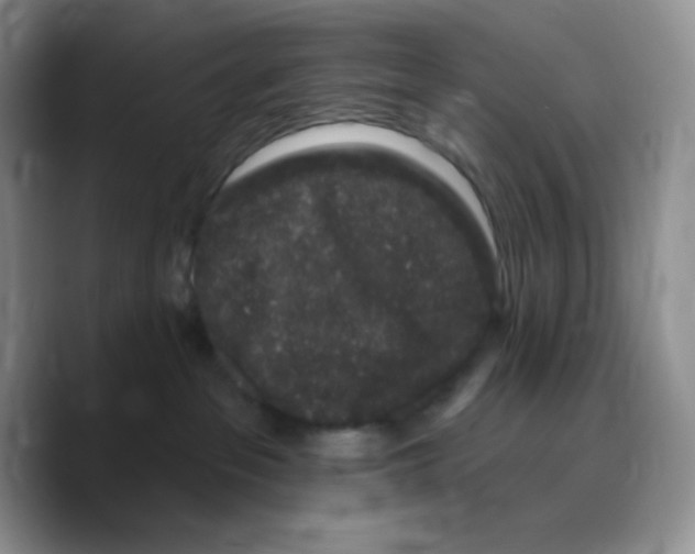 X0000089760237200707201948