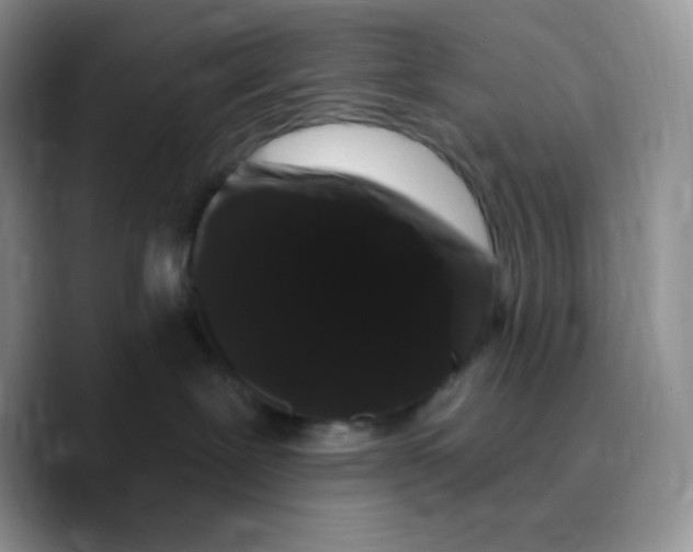 X0000089760239200707201948