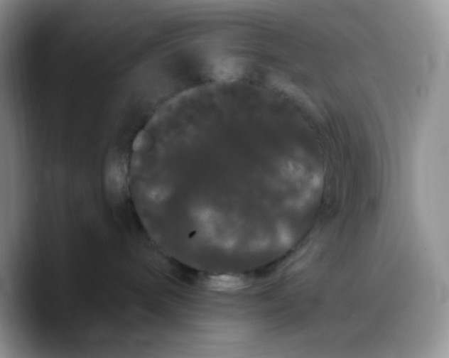 X0000089760240200707201948