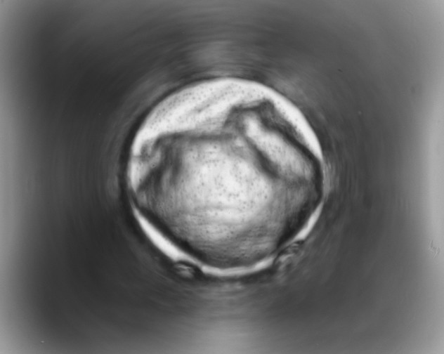 X0000089760243200707201948