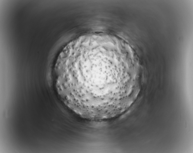 X0000089760245200707201948